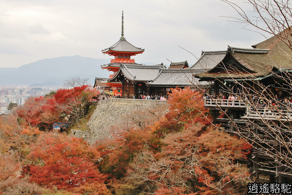 三重塔 京都駱駝 游重森 痞客邦