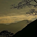 P03.jpg