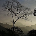 P05.jpg