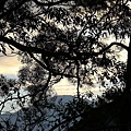 P09.jpg