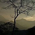 P12.jpg