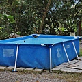 P11.jpg