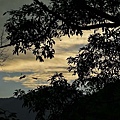 P16.jpg