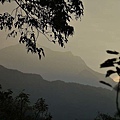 P20.jpg