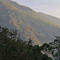 P23.jpg