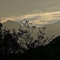 P22.jpg