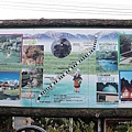P14.jpg
