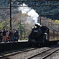 P01.jpg