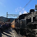 P05.jpg