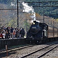 P16.jpg