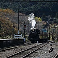 P13.jpg