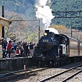 P19.jpg