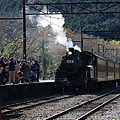 P15.jpg