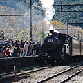 P17.jpg