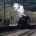 P14.jpg