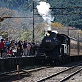 P18.jpg