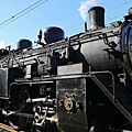 P20.jpg