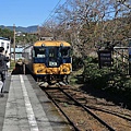 P28.jpg
