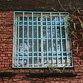 P13.jpg