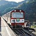 P11.jpg