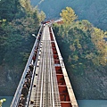 P17.jpg
