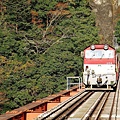 P14.jpg