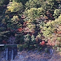 P15.jpg