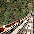 P13.jpg