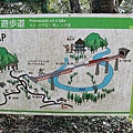 P19.jpg