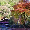 P10.jpg
