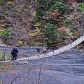 P01.jpg