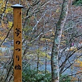 P03.jpg