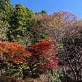 P06.jpg