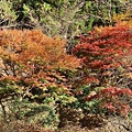 P07.jpg