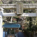 P09.jpg