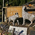 P11.jpg