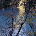 P20.jpg
