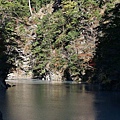 P26.jpg