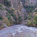 P29.jpg
