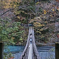 P31.jpg
