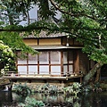 P03.jpg