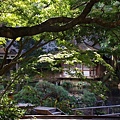 P04.jpg