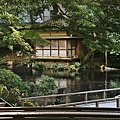 P11.jpg