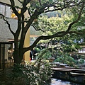 P12.jpg