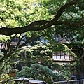 P14.jpg