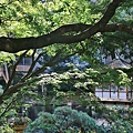 P16.jpg