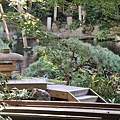 P19.jpg