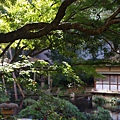 P20.jpg