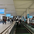 P16.jpg