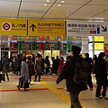P07.jpg